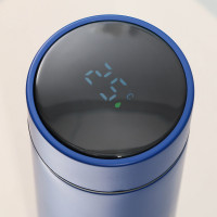     Mode Forrest, 500 ,   10-12 