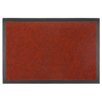  Sunstep Light, , 40x60 , 