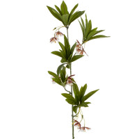 ������ �������������, L22 W15 H92 ��