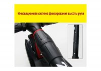        Scooter Maxi