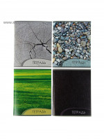  96   , Calligrata  2, 