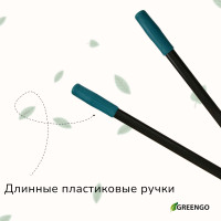  , 31 (79 ),  ,   , , Greengo