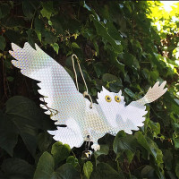 ������������ ��� ����, ���������������, ����� � �������������, Greengo