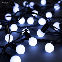   10     1.5 , Ip44,  , 100 Led,  , 8 , 220 