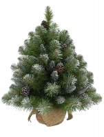   Triumph Tree ()   , 
