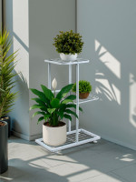    Greengo, 3 , 43 22 57 , , , 