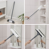    Raccoon , 6 :  ,     , , ,  