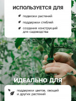  , 5 , D=3 , , Greengo