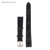    , 14 , , L-19 , 