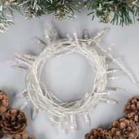   5    , Ip20,  , 50 Led,  , 8 , 220 