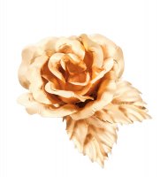 Ga-br-01 ����� �����