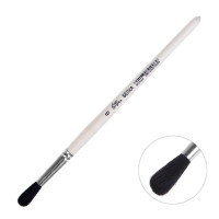   ,    6 (  6 ;   22 ),  , Calligrata