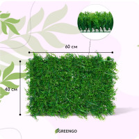  , 60 40 ,  , Greengo