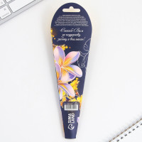 ����� ����������, �������, ����� �����, ������� ���� 1 �� ������� ������������