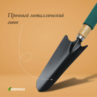   Greengo,  33.5 ,  6.5 ,    
