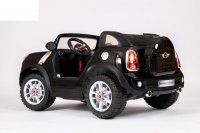 Mini Beachcomber (  ) -