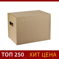    250 X 340 X 260 , Calligrata, , 