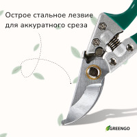  , 8 (20 ),  , Greengo
