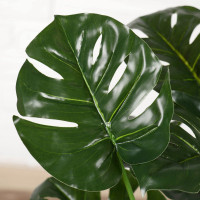 ���� ������������� ���������, H=70 ��