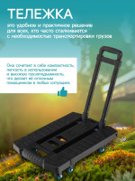     ,   ,   100 ,  , , Greengo