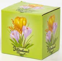 ,  310, New Bone China,   