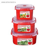  Sistema Microwave, 3.2 