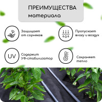  ,  , 10   0,8 ,  80 / ,   -, , Greengo,  30%
