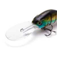 ������ Namazu Guttatus, L-65 ��, 15 �, ���, ���������, 3.5-5.0 �, ���� �6