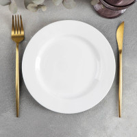    Wilmax Stella Pro, D=20 ,  