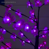    1.2 , 120 Led,  , 220 ,  