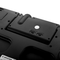   Brayer Br3736, ,  180 , 4 (  ), 