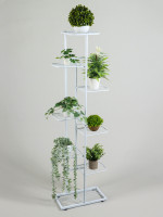    Greengo, 8 , 43 22 141 , , , 