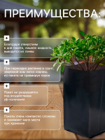   , 3 , 11 30 , ,  60 ,  , , Greengo