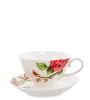 Js-09    6 .   (pavone)