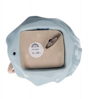 Cms-24/ 5 .     (pavone)