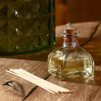  "Diffuser"  100 