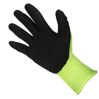 �������� ����������, ���������, ���� ����