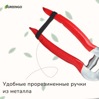  , 7 (18 ),   ,  , , Greengo