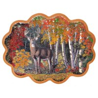 ����� ����� �3 (34�26 ��)