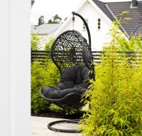     Joygarden Cand Black,  