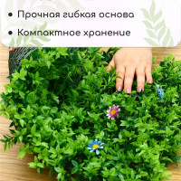  , 60   40 ,    , Greengo