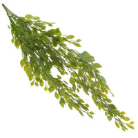 ����� �������������, L20 W20 H83 ��, 2�.