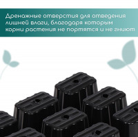   , 9   80 , , , 18 13 6 , Greengo