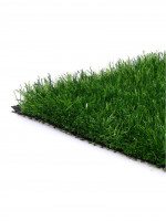  ,  ,  50 , 1 2 , , Greengo