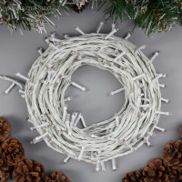   20 , Ip20,  , 200 Led,   , 8 , 220 
