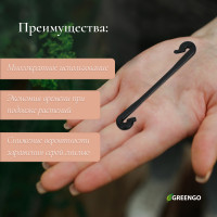 , 6 , , , Greengo