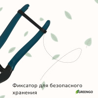  , 8 (20 ),   , Greengo