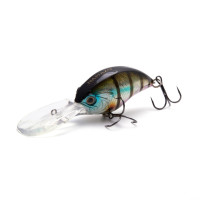 ������ Namazu Hippocampus L-60 ��, 18 �, �����, ���������, 2.5 - 4.5 �, ���� �6