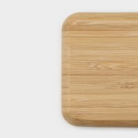   Striata, 4 , 33x9,5 ,  