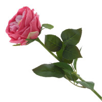 ������ ������������� ����, L13 W9 H60 ��